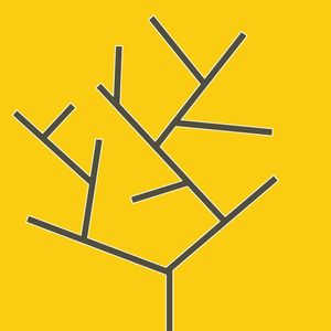 BRANCH II