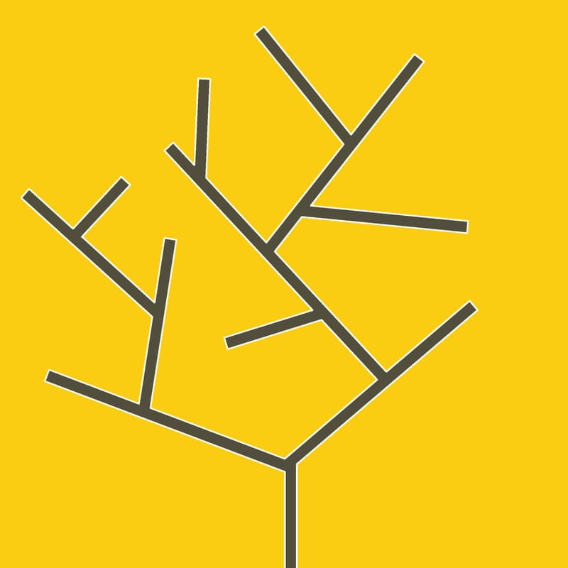 BRANCH II