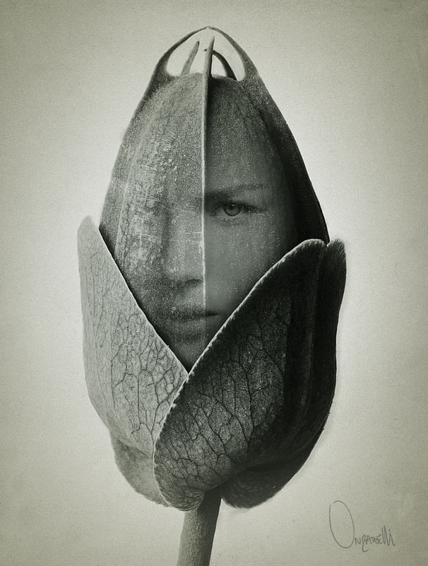 MEMORIES OF KARL BLOSSFELDT