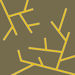 BRANCH V