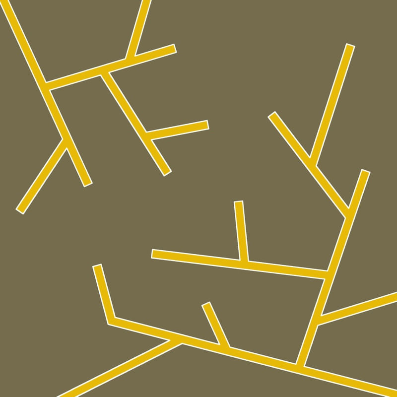 BRANCH V