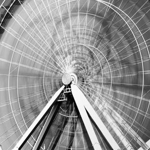 RODA GIGANTE-01