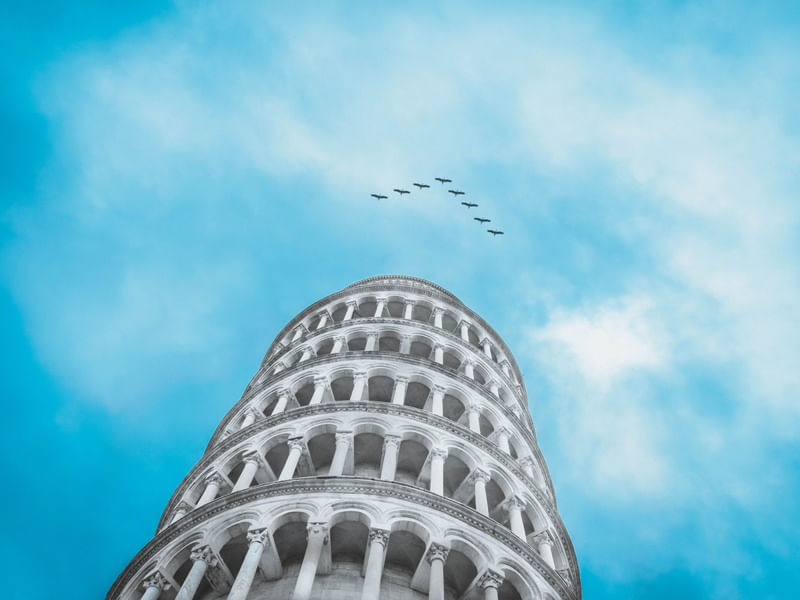 PISA AND BIRDS