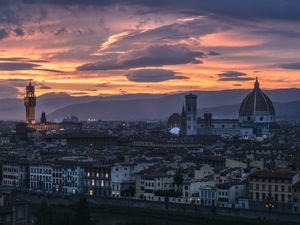 AMAZING FLORENCE 1