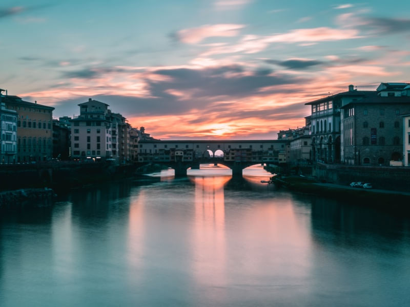 AMAZING FLORENCE 3