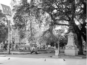 PLAZA - BUENOS AIRES