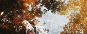 REFLEXO/CARPAS