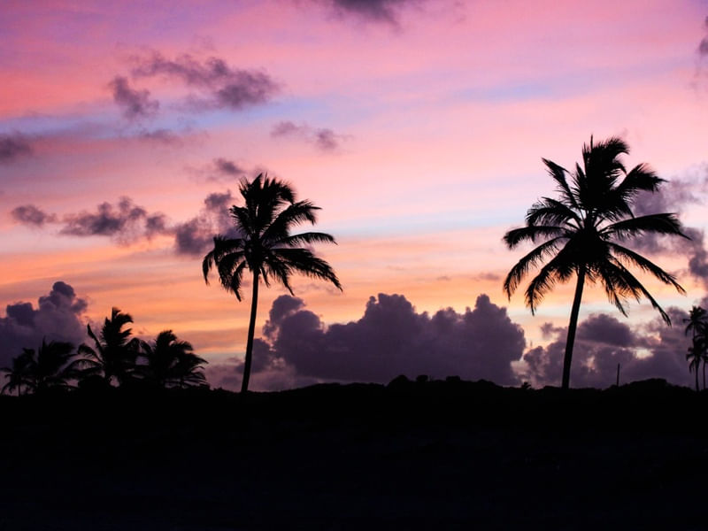 SUNSET PINK