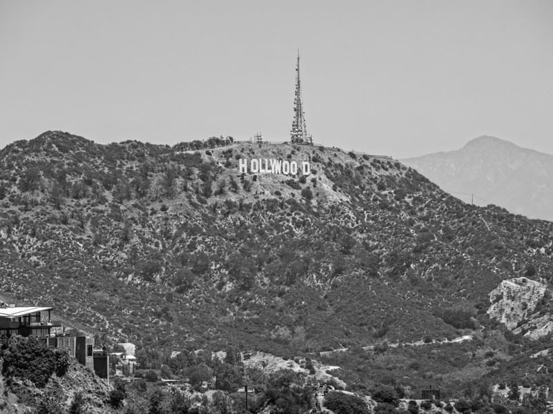 HOLLYWOOD CINCA