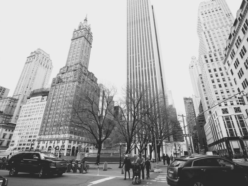 NY CINZA