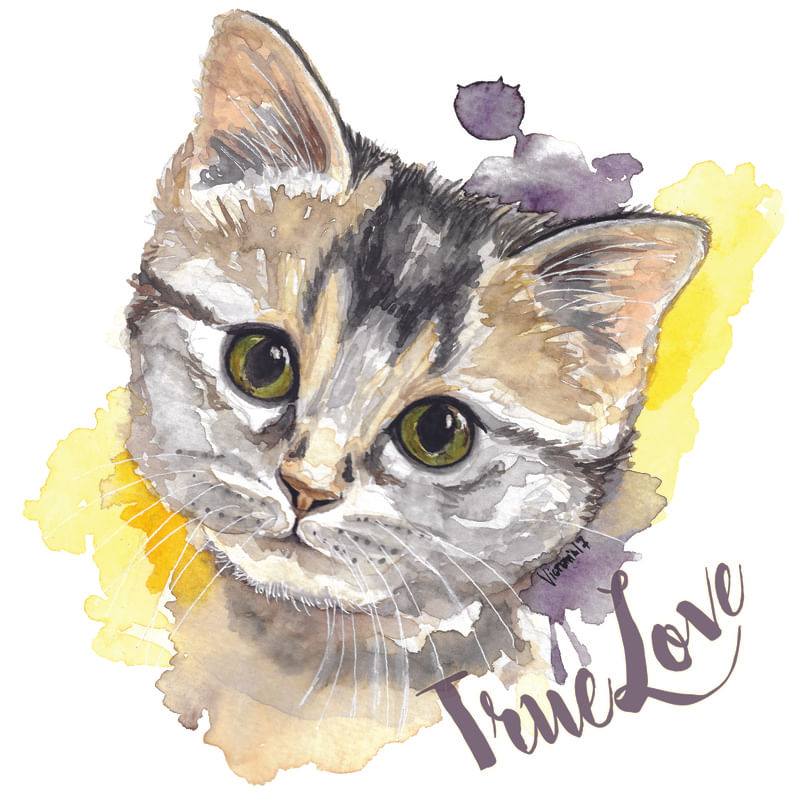 GATINHO TRUE LOVE
