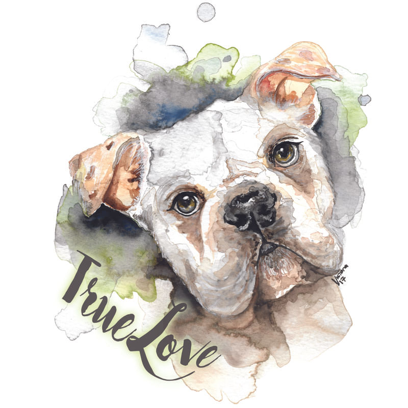 BULLDOG TRUE LOVE
