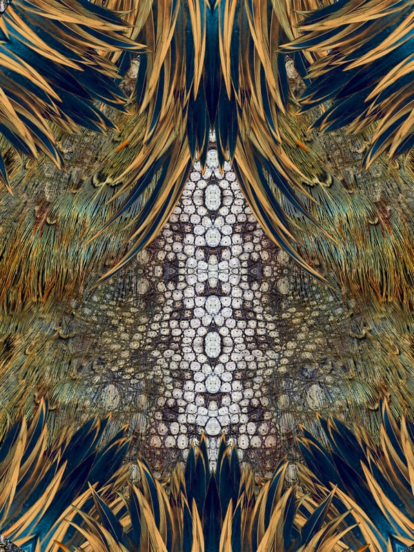 JURASIC