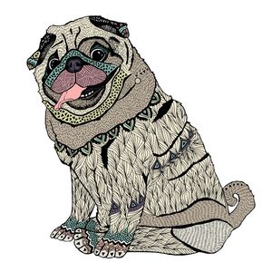 A HAPPY PUG