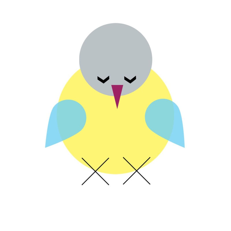 LITTLE BIRD ONE