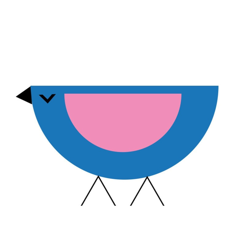 LITTLE BIRD TWO