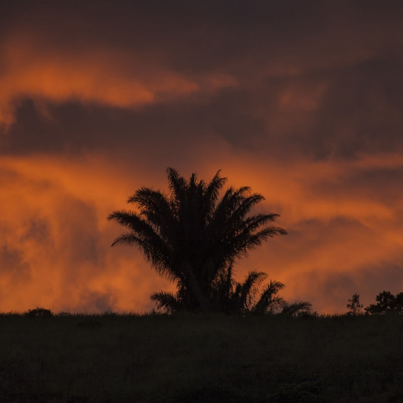 CORES DA ALVORADA