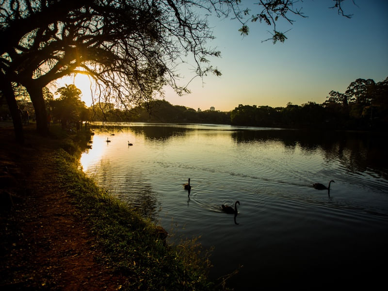 LAGO 001