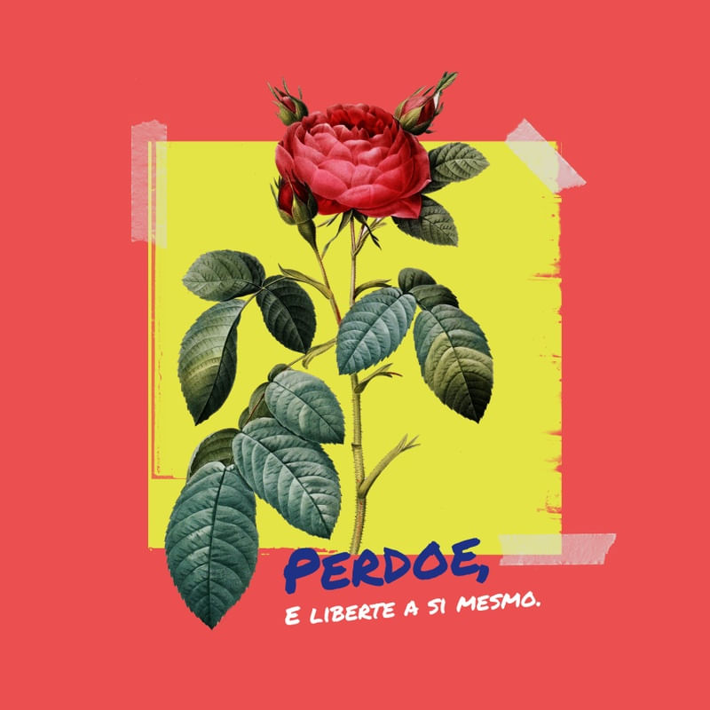 PERDÃO