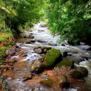 CAMINHO DA ÁGUA