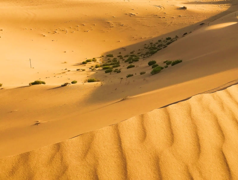 DESERTO III