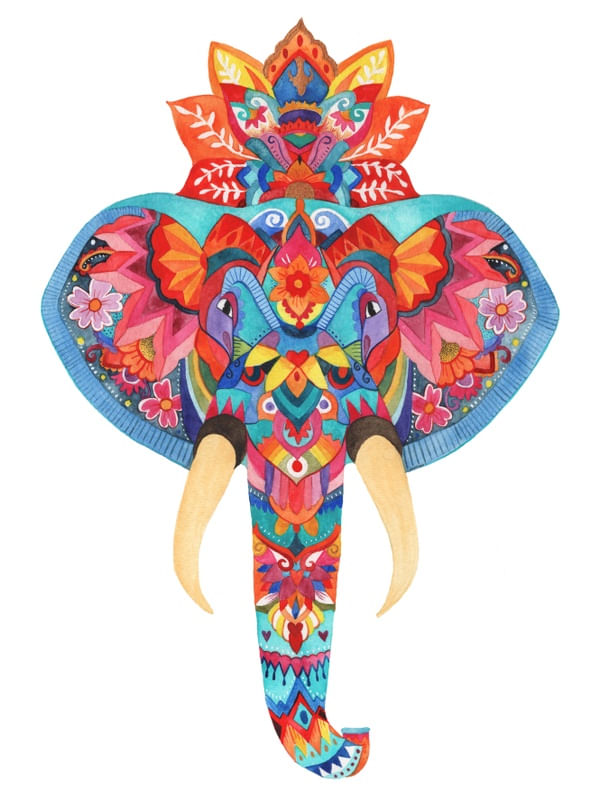 ELEFANTE INDIANO COLORIDO