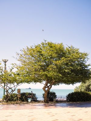 DIA DE SOL - BEIRA MAR