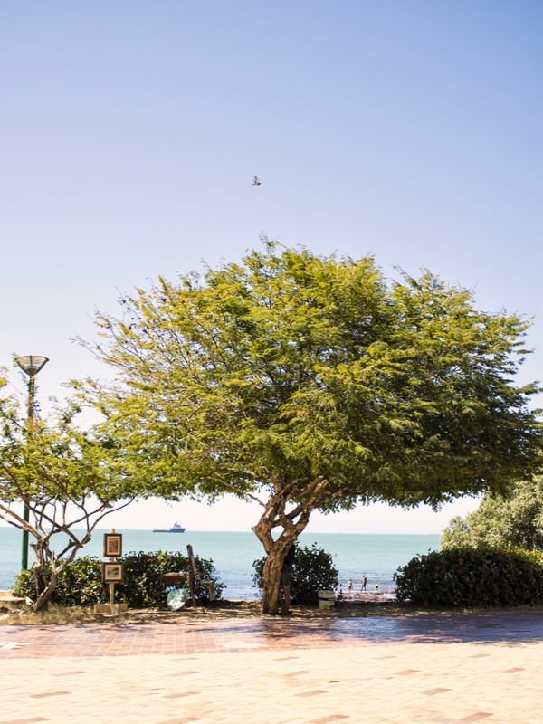 DIA DE SOL - BEIRA MAR
