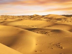 DESERTO IV