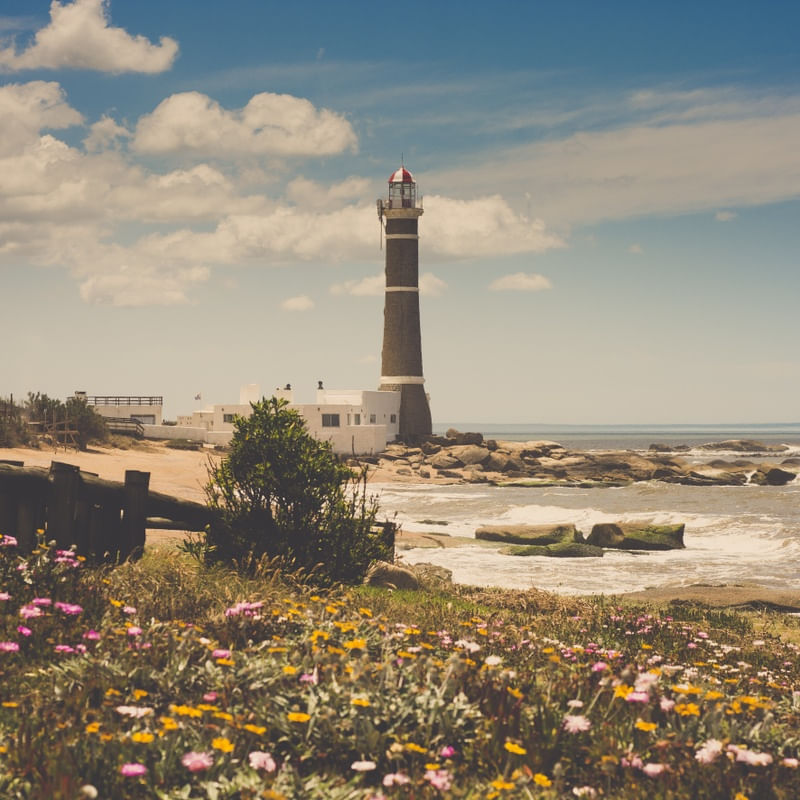 EL FARO