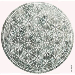 MANDALA FLOR DA VIDA