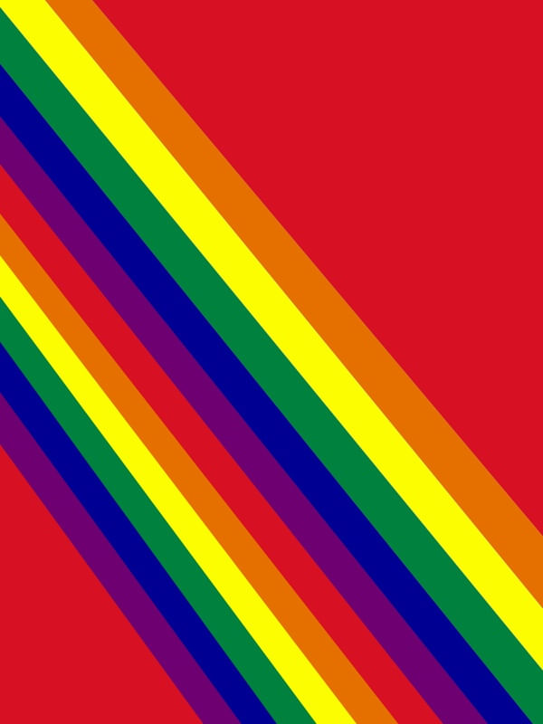 BANDEIRA DA PARADA
