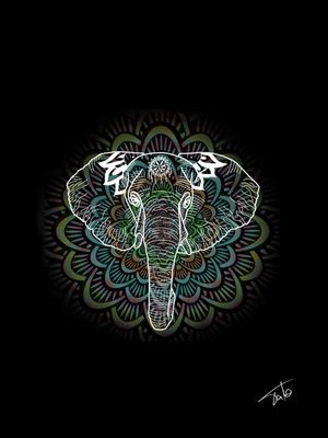 ELEPHANT SPIRIT
