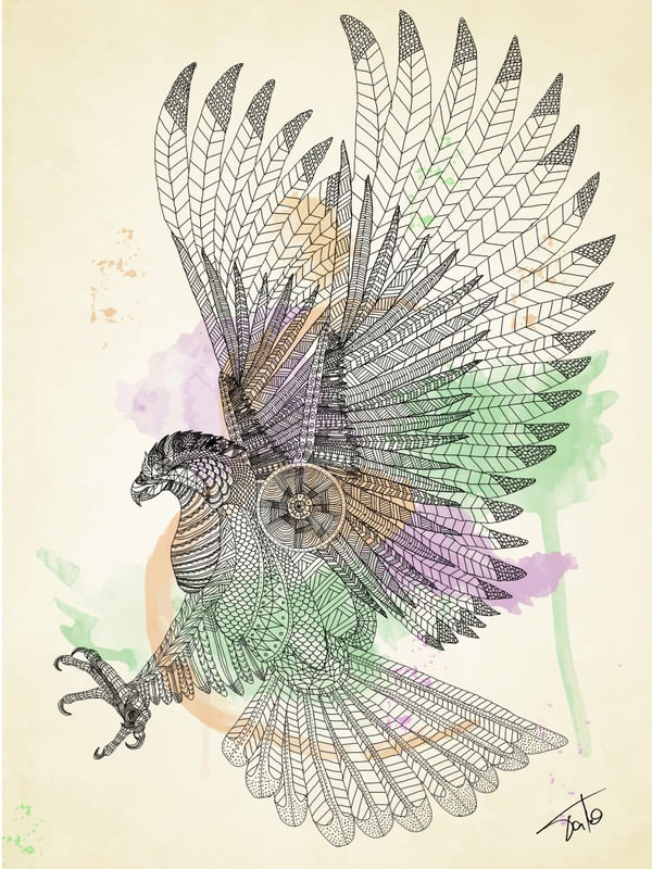 DREAMCATCHER HAWK