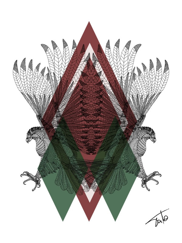 HAWK GEOMETRIC