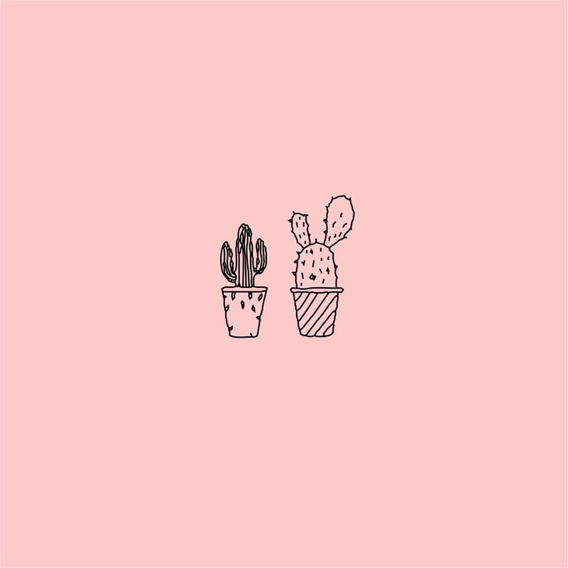CACTOS NUDE