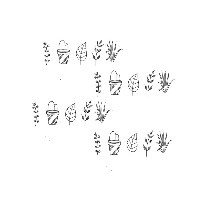 CACTOS B