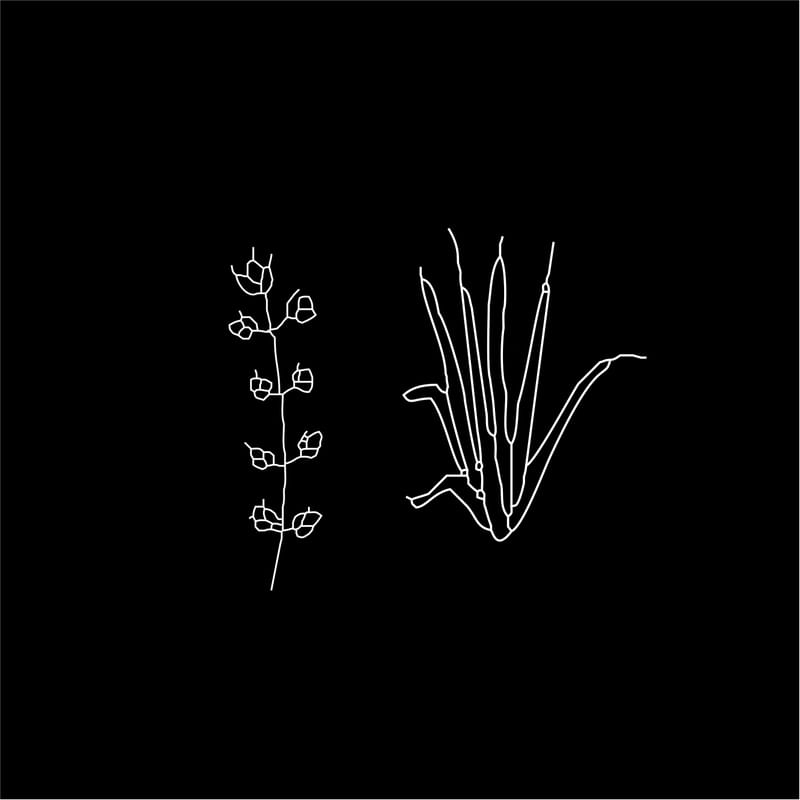 FLOWER R