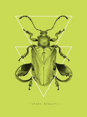 BESOURO VERDE