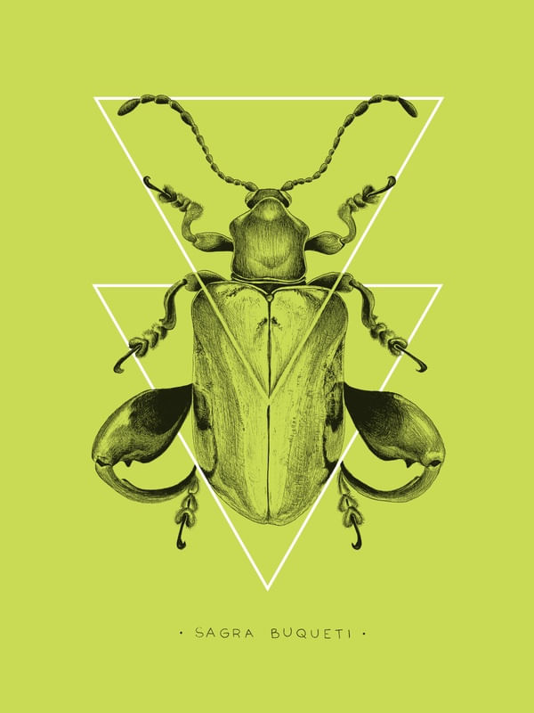 BESOURO VERDE