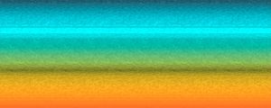 COLOR POLO 3