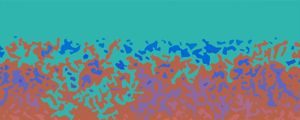 COLOR POLO 7