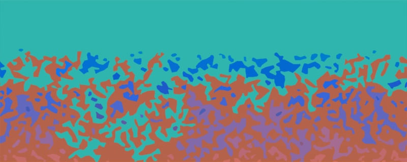 COLOR POLO 7