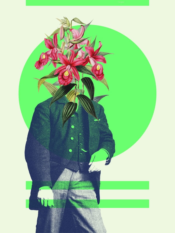 FLOWER HEAD