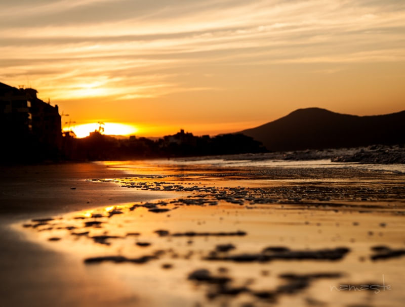 COLEÇÃO CANASVIEIRAS FLORIANOPOLIS 3