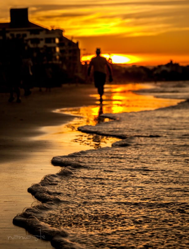 COLEÇÃOCANASVIEIRAS FLORIANOPOLIS 6