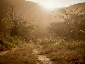 NO CAMINHO DO SOL