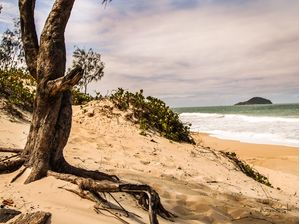 BELEZA DO MOÇAMBIQUE FLORIANOPOLIS