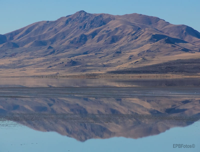 REFLEXOS DE ANTELOPE ISLAND 2