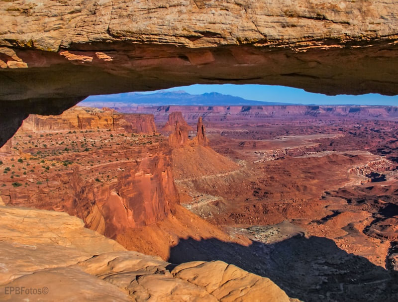 MESA ARCH